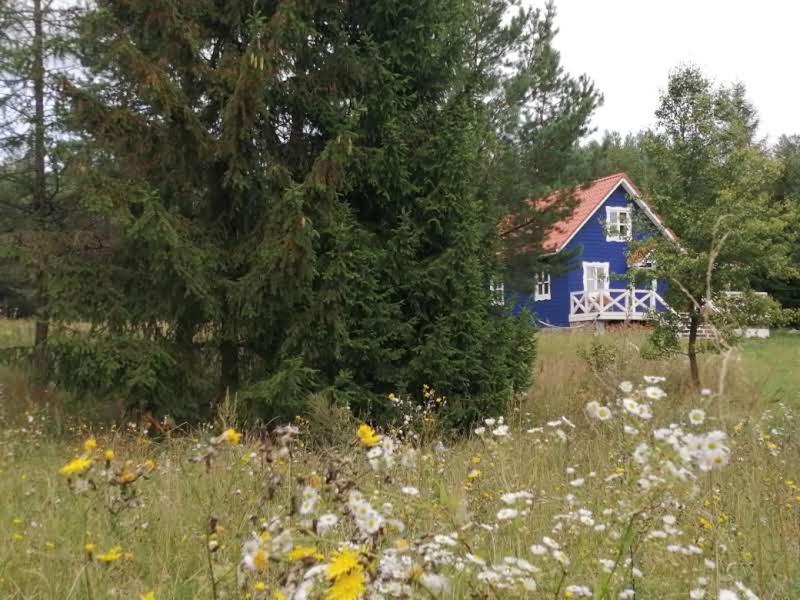 Swiety Spokoj Laka I Woda Pozezdrze Eksteriør bilde